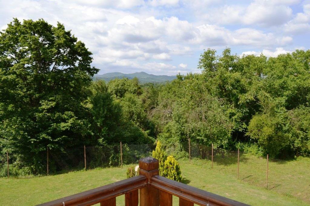 Sichanova Guest House Bruchkovtsi Экстерьер фото